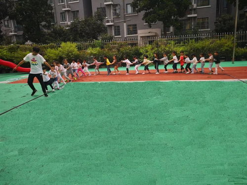 快樂游戲,健康成長 金蘋果幼兒園體能課開課啦