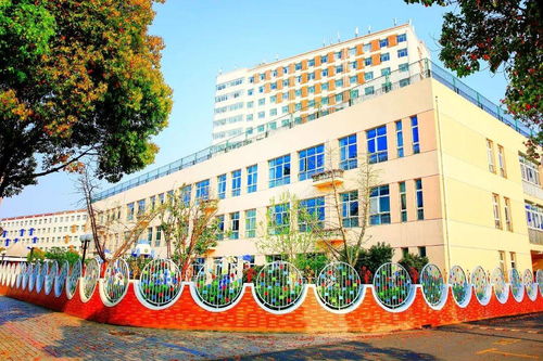 上海市民辦金蘋果學校附屬幼兒園2021年招生簡章 全區招生,不受戶籍限制