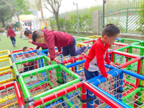 成都市一級幼兒園群 里,又多了四顆金蘋果