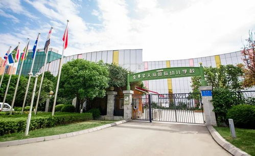 成都名校密度最高的一條街