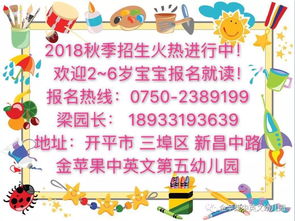 金蘋果第五幼兒園 快樂體智能課，點亮童年成長的璀璨星光